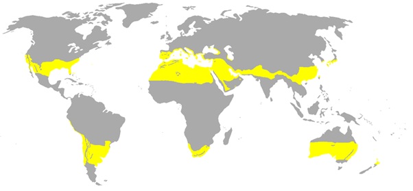 Tropical Region Map