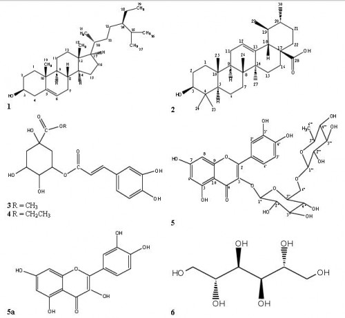 Structures of compounds (1–6) from the leaves of <em>Pavetta crassipes.</em>