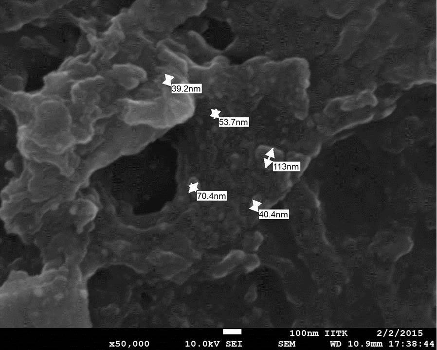 FE-SEM image of ruthenium oxide NPs taken at 50,000 X, showing NPs in the range of 30-113 nm.