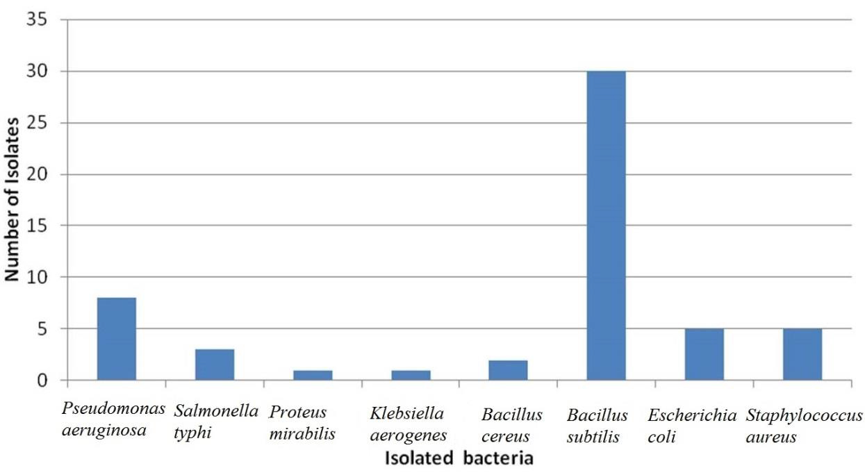 Distribution of bacterial isolates in tomato fruit samples from three major markets in Osogbo, Nigeria.